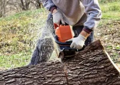 Landscape Company East Brunswick NJ 08850