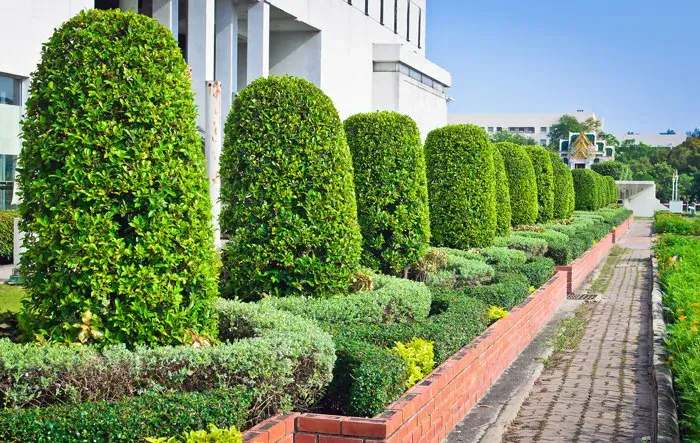 Reliable Tree Services East Brunswick NJ 08850